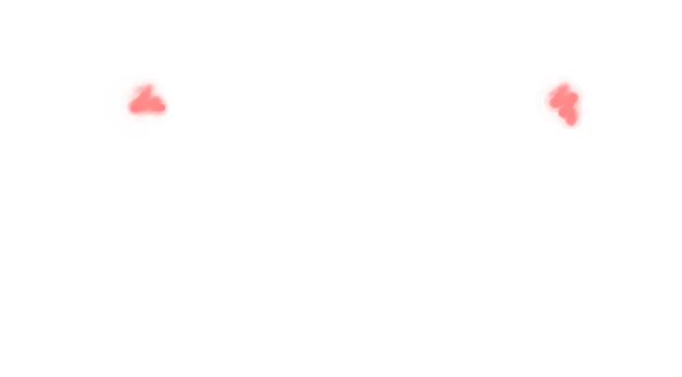THE SHOVEL